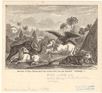 Image ID 808019