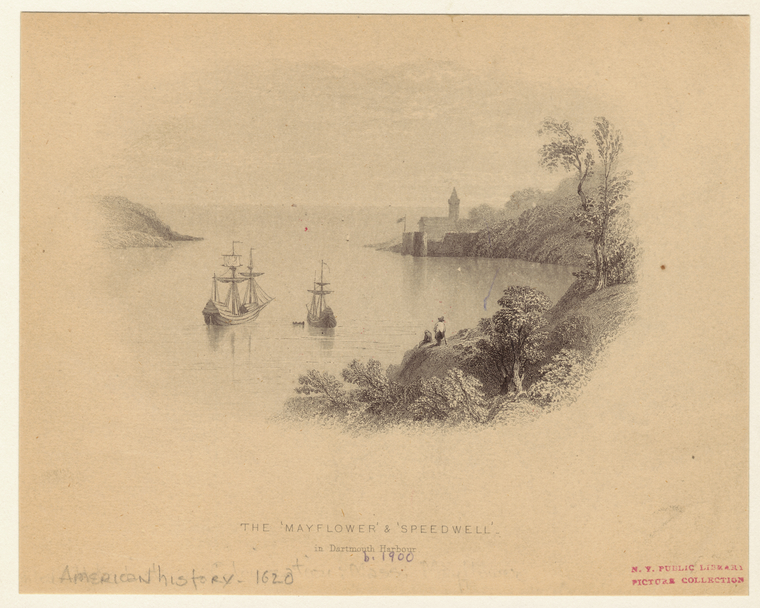 Image ID 808100
