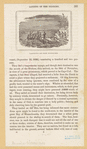 Image ID 808105