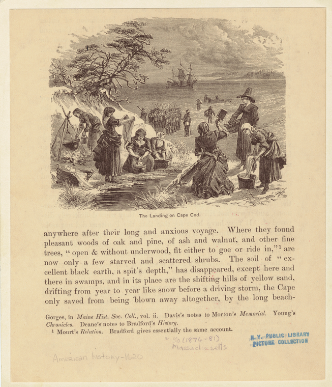 Image ID 808109
