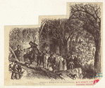 Image ID 808135