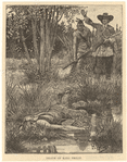 Image ID 808205