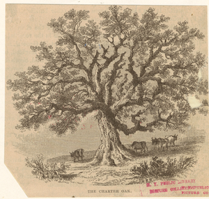 Image ID 808254