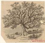 Image ID 808254