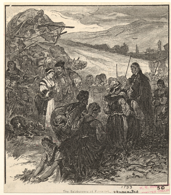Image ID 808303

