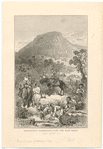 Image ID 808321