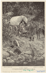 Image ID 808345