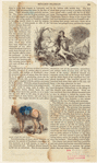 Image ID 808371