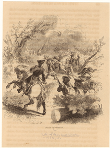 Image ID 808392