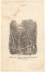 Image ID 808487