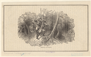 Image ID 808536