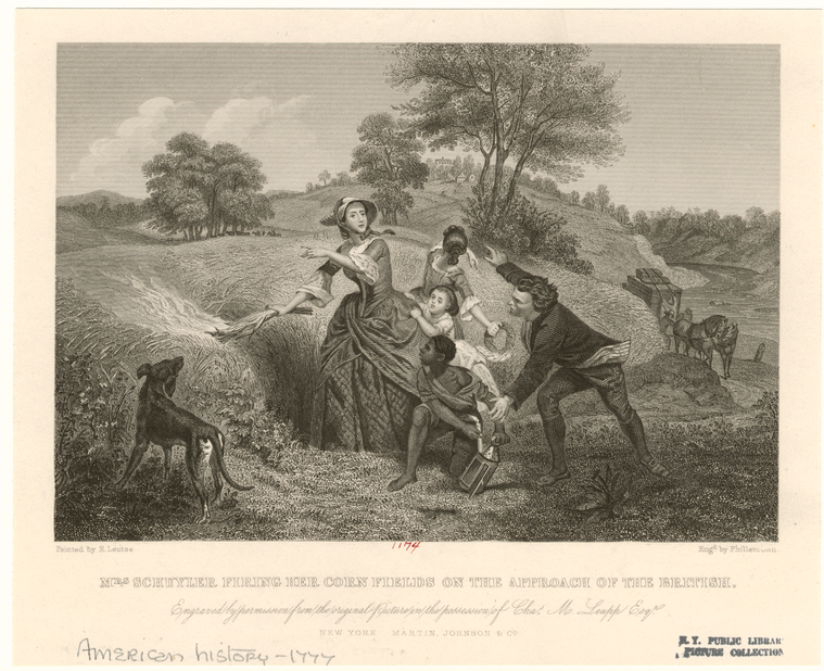 Image ID 808635
