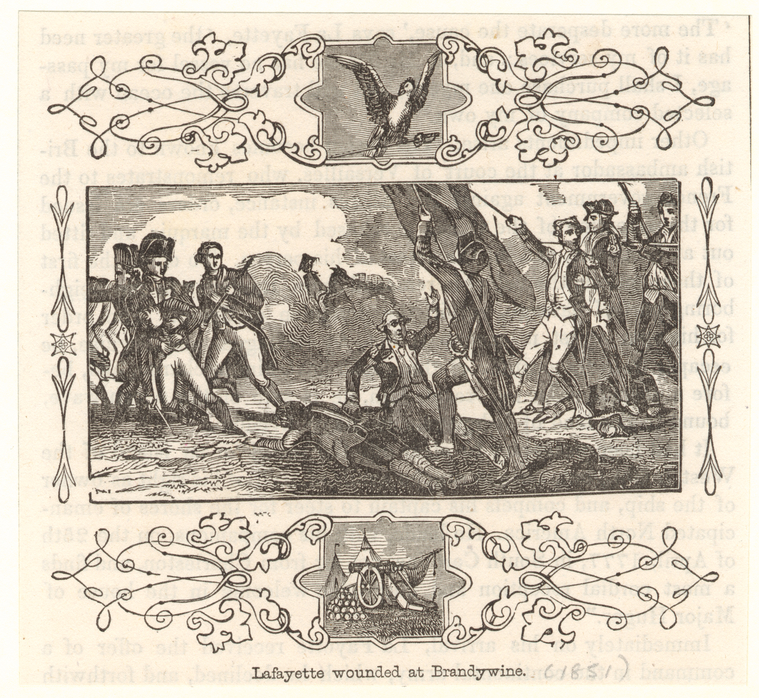Image ID 808648
