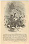 Image ID 808666