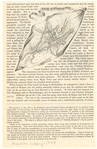 Image ID 808677