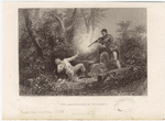 Image ID 808735