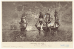 Image ID 808742