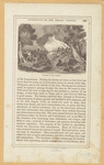 Image ID 808754