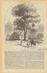 Image ID 808771