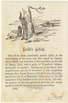 Image ID 808797