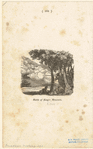 Image ID 808798