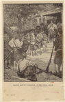 Image ID 808864