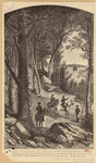 Image ID 808881