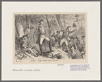 Image ID 808883