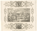 Image ID 808891
