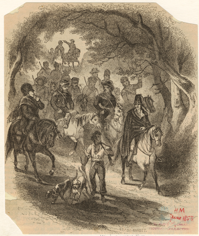 Image ID 808894
