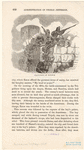 Image ID 808924