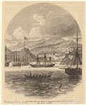 Image ID 808970
