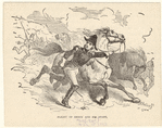 Image ID 809034