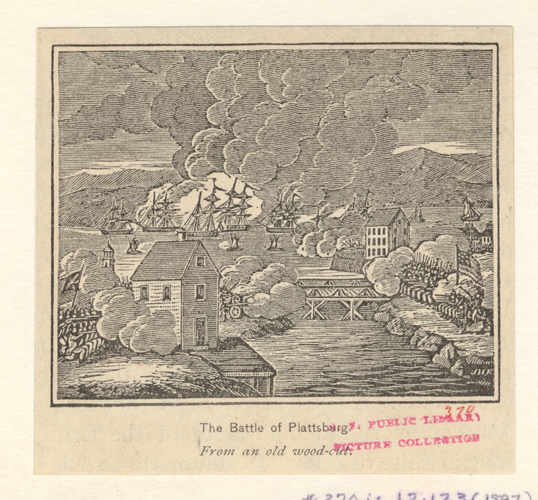 Image ID 809086
