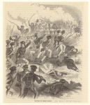 Image ID 809164