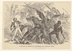 Image ID 809167
