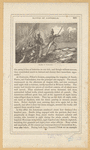 Image ID 809174