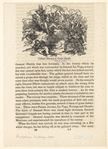 Image ID 809178