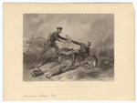 Image ID 809189