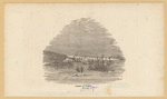 Image ID 809226