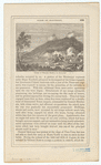 Image ID 809241