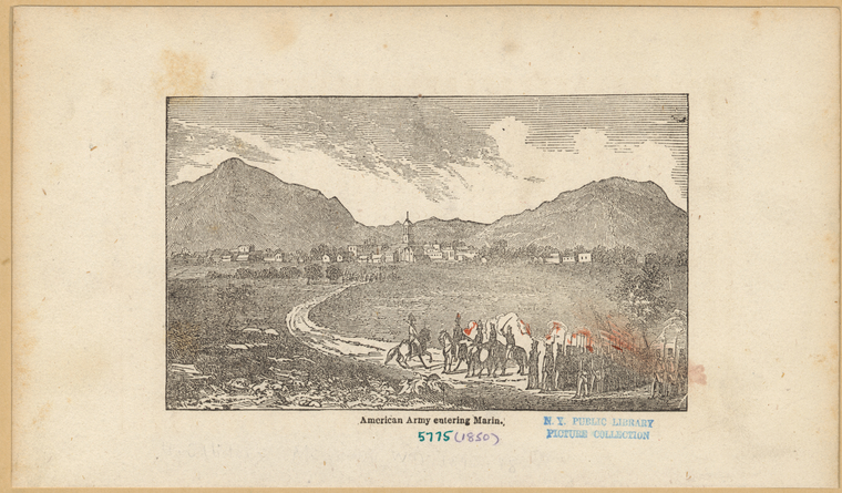 Image ID 809249
