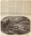Image ID 809278