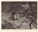 Image ID 809284