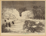 Image ID 809701