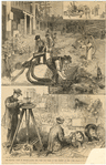 Image ID 809805