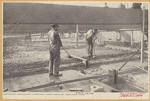 Image ID 809884