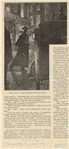 Image ID 810046