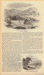 Image ID 810106