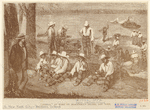Image ID 810132